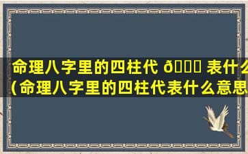 命理八字里的四柱代 🐋 表什么（命理八字里的四柱代表什么意思）